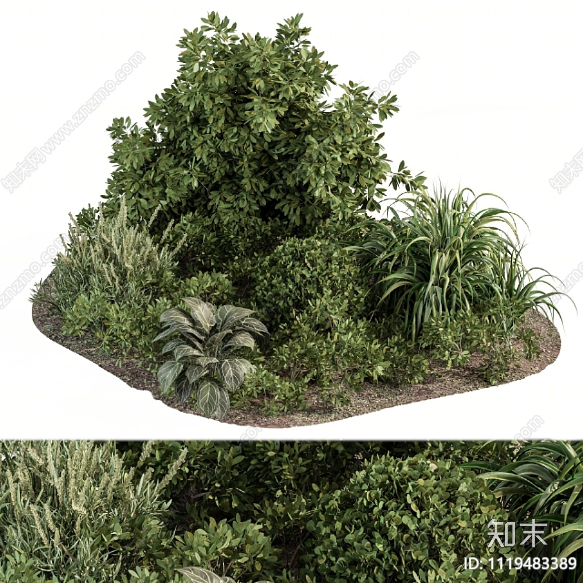 植物堆3D模型下载【ID:1119483389】