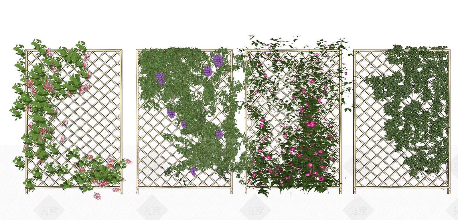 现代藤蔓植物SU模型下载【ID:1119526349】
