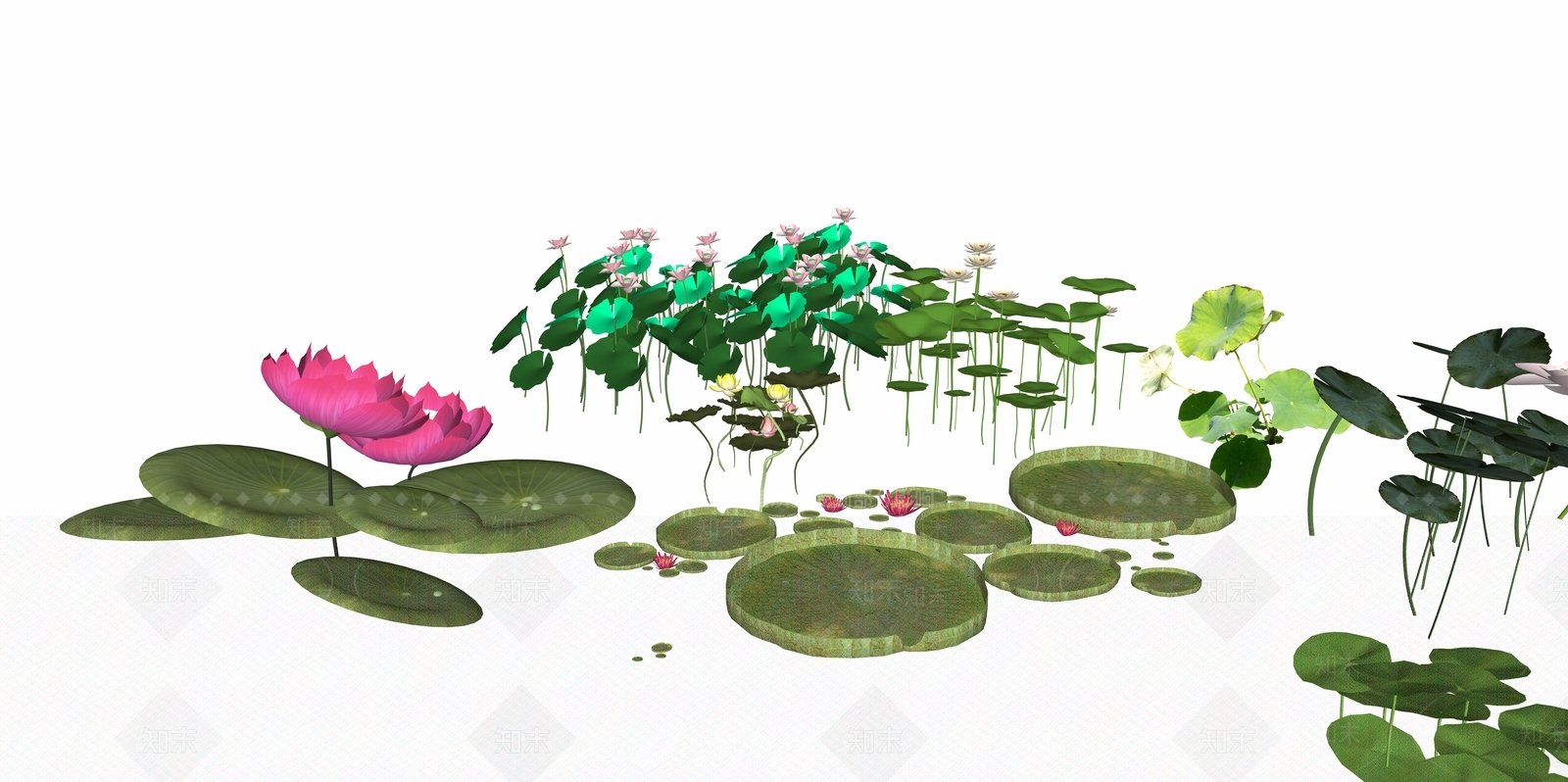 荷花SU模型下载【ID:1119637677】