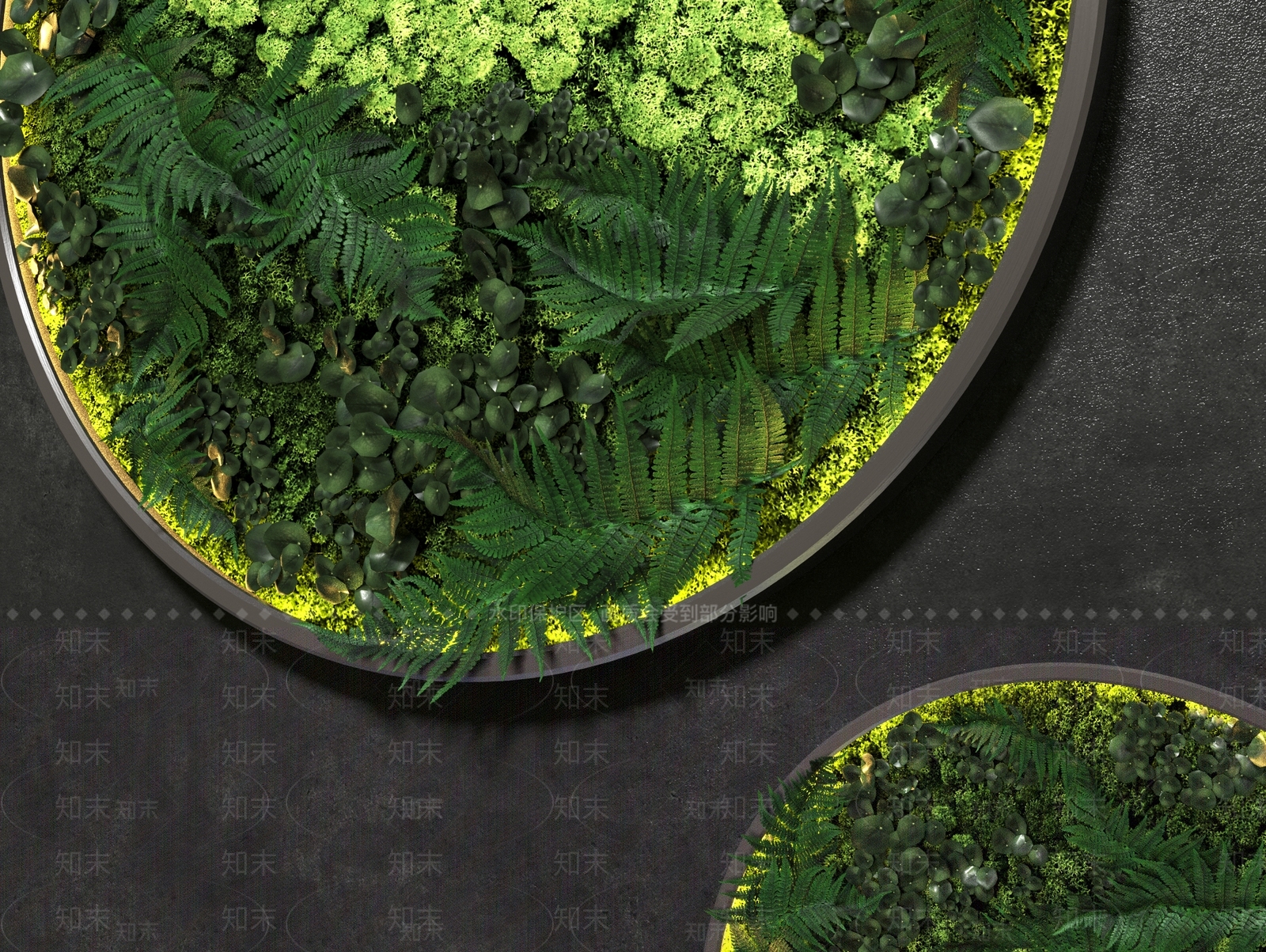 圆盘挂墙植物3D模型下载【ID:1119708099】