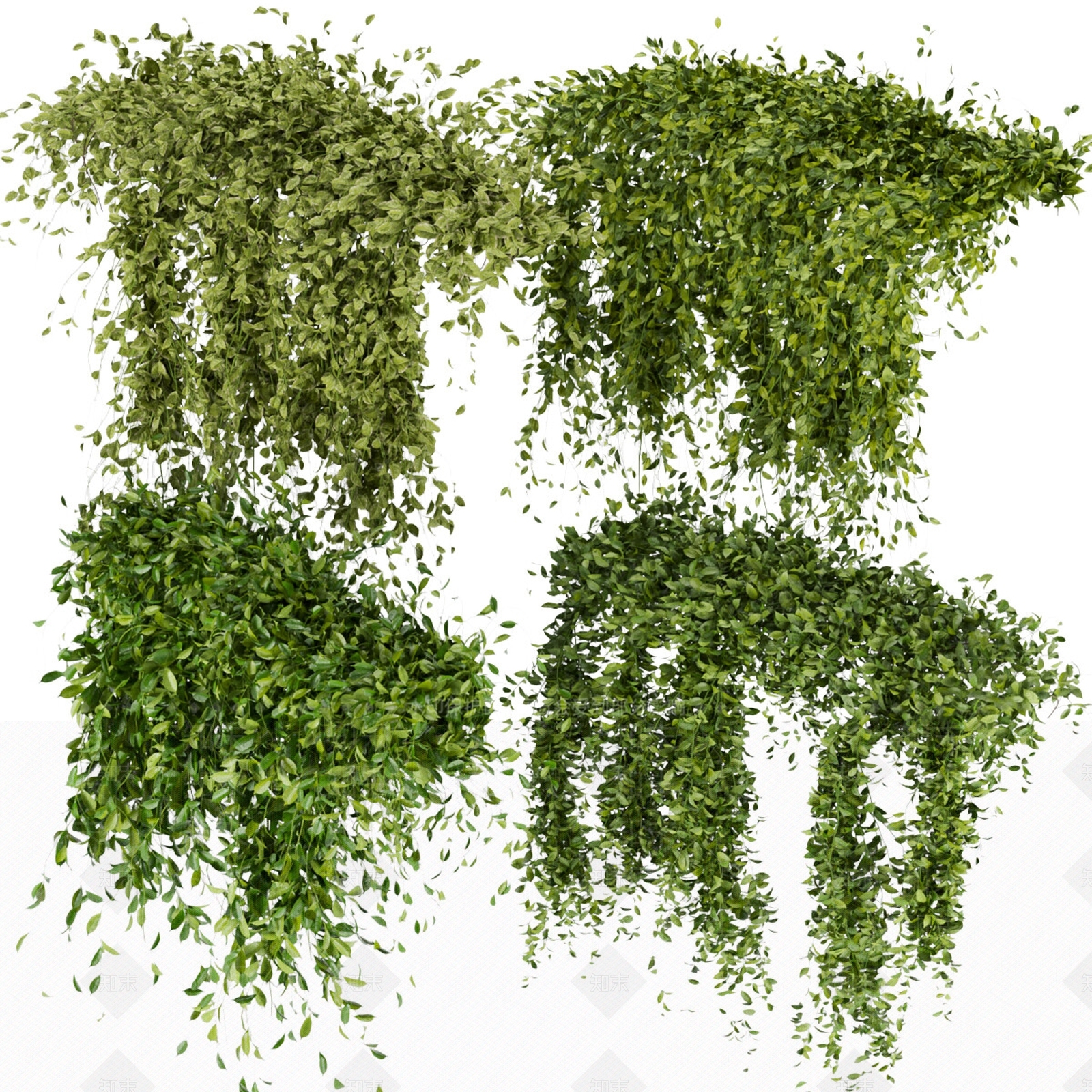 植物藤蔓3D模型下载【ID:1119918451】