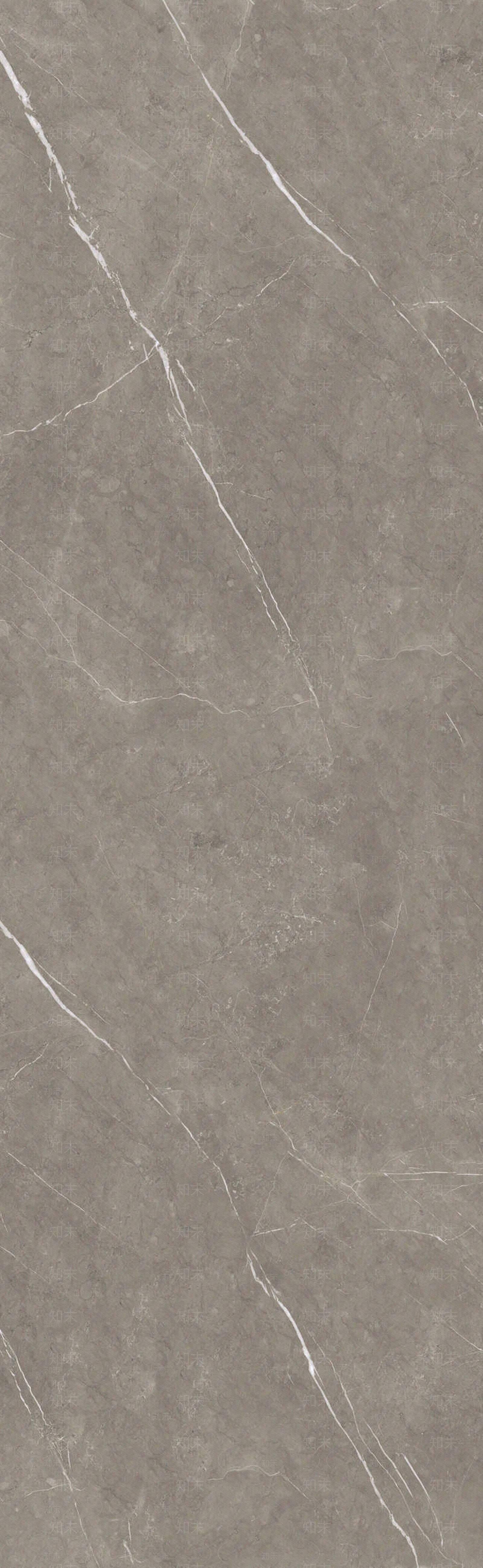 欧文莱灰色瓷砖贴图下载【ID:1119969375】