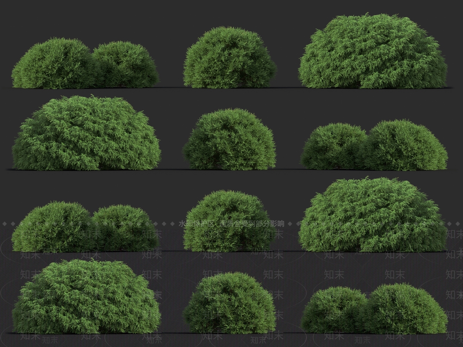 云杉3D模型下载【ID:1120018726】