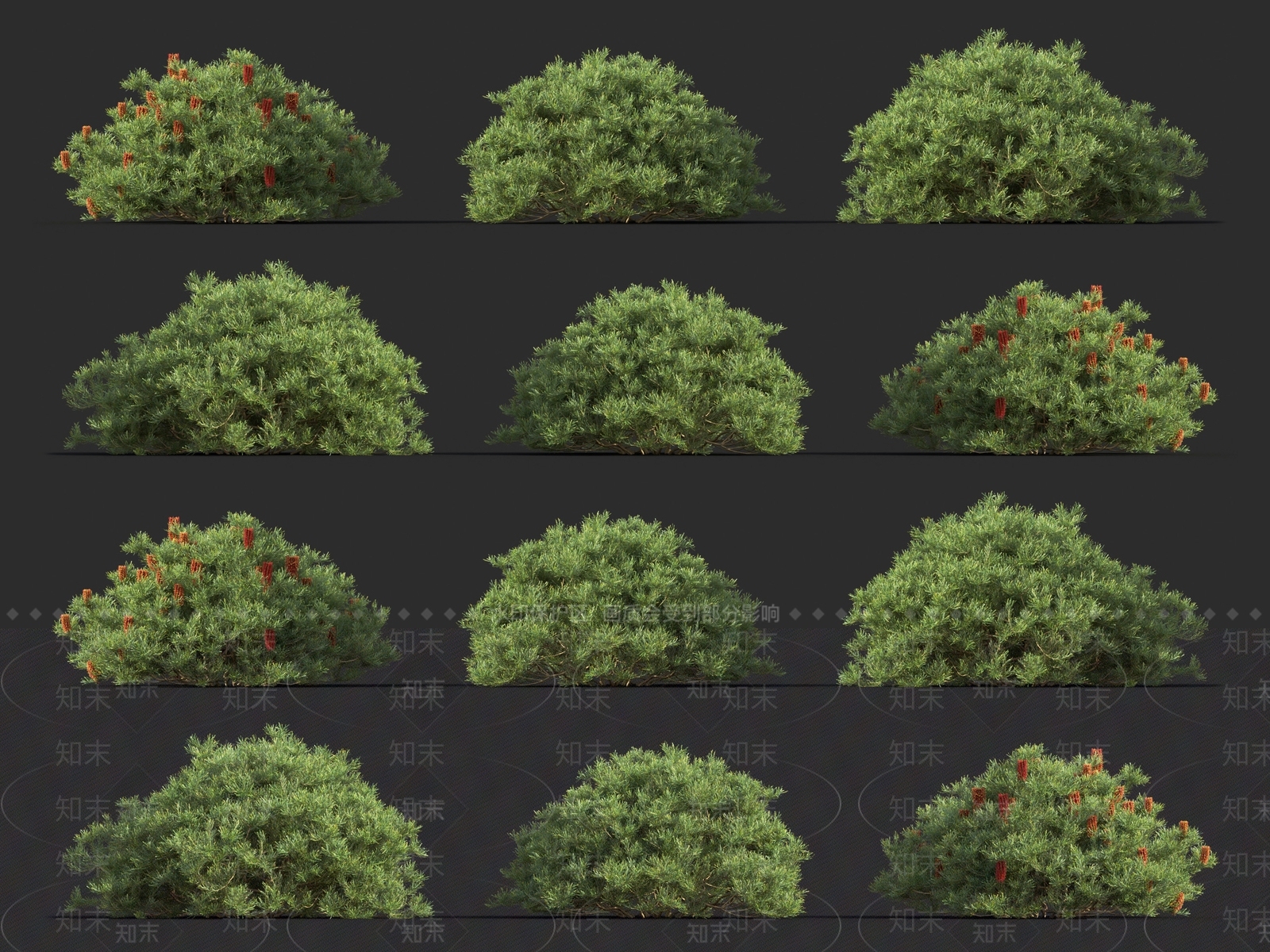 云杉3D模型下载【ID:1120020191】