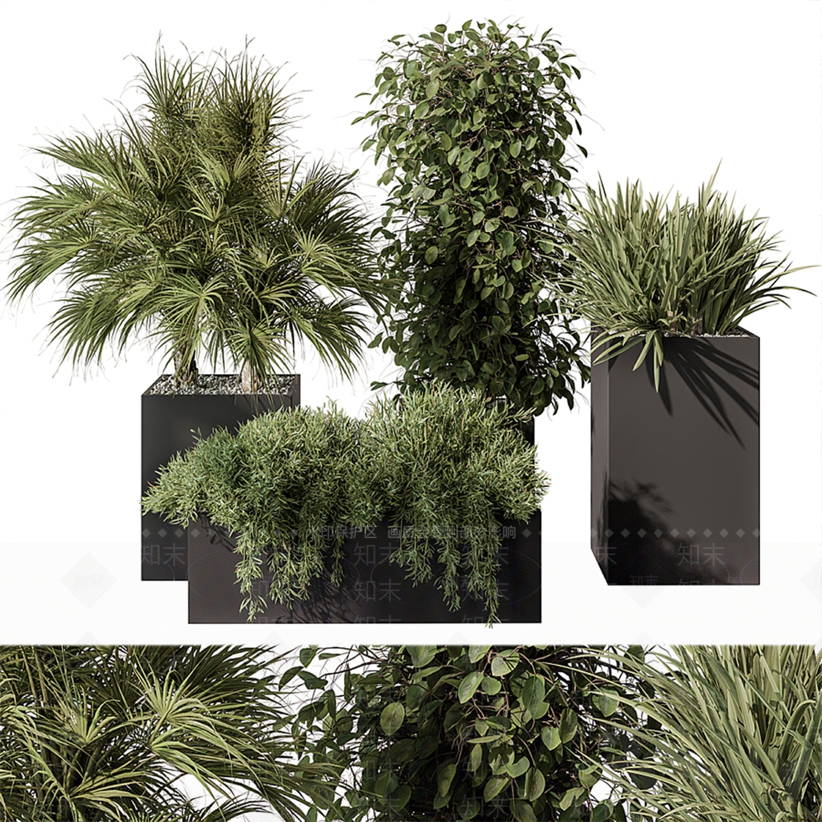 植物花箱3D模型下载【ID:1120093418】