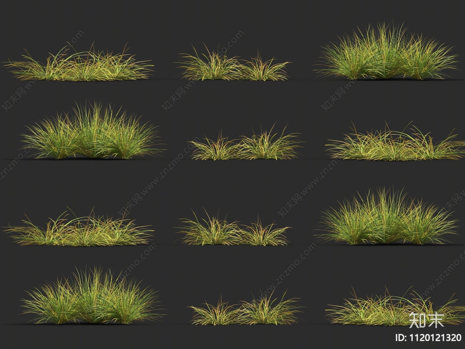 大麦草3D模型下载【ID:1120121320】