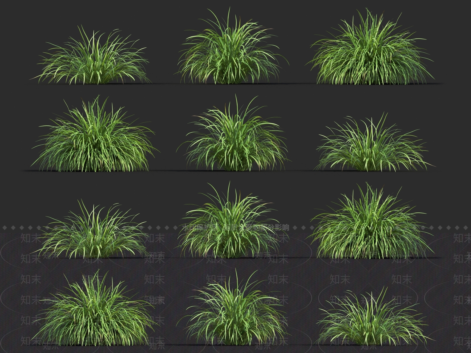 大麦草3D模型下载【ID:1120121452】
