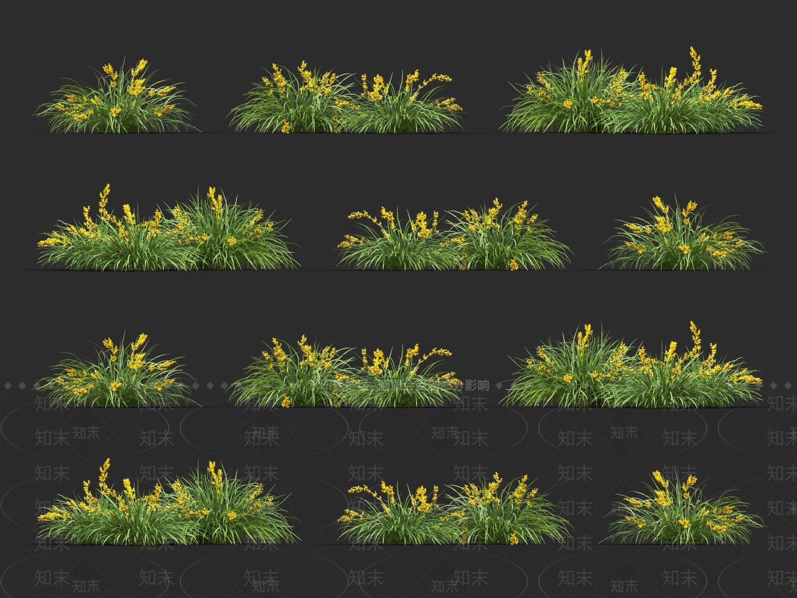大麦草3D模型下载【ID:1120121449】