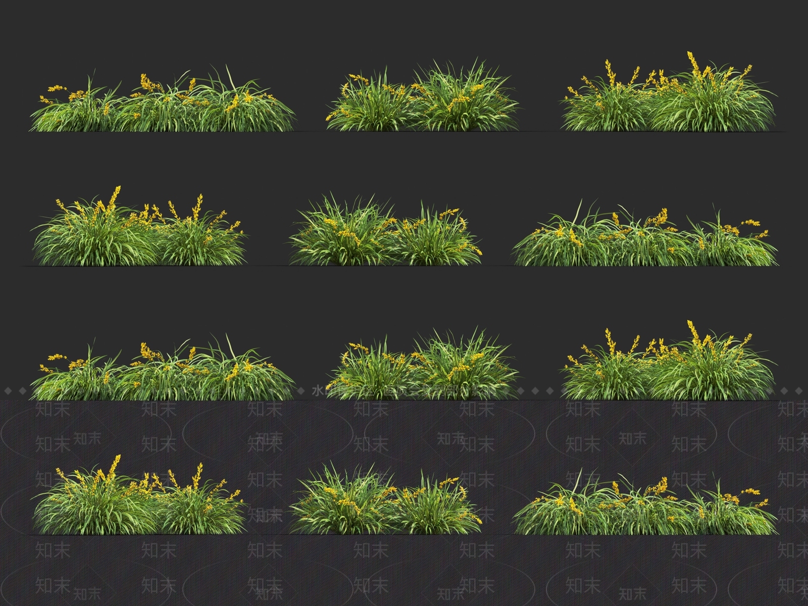 大麦草3D模型下载【ID:1120121583】