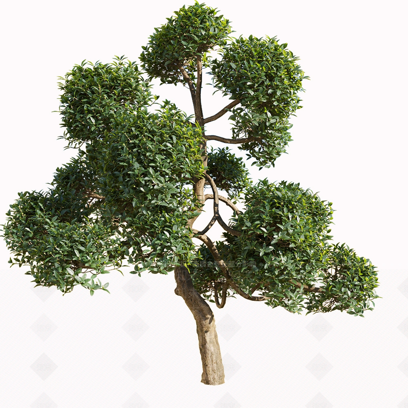 绿植松树3D模型下载【ID:1120370444】