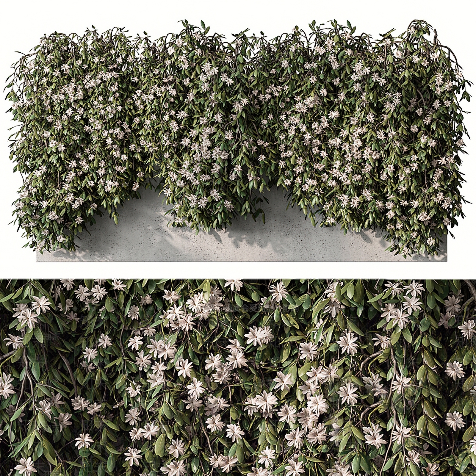 现代植物墙3D模型下载【ID:1120530529】