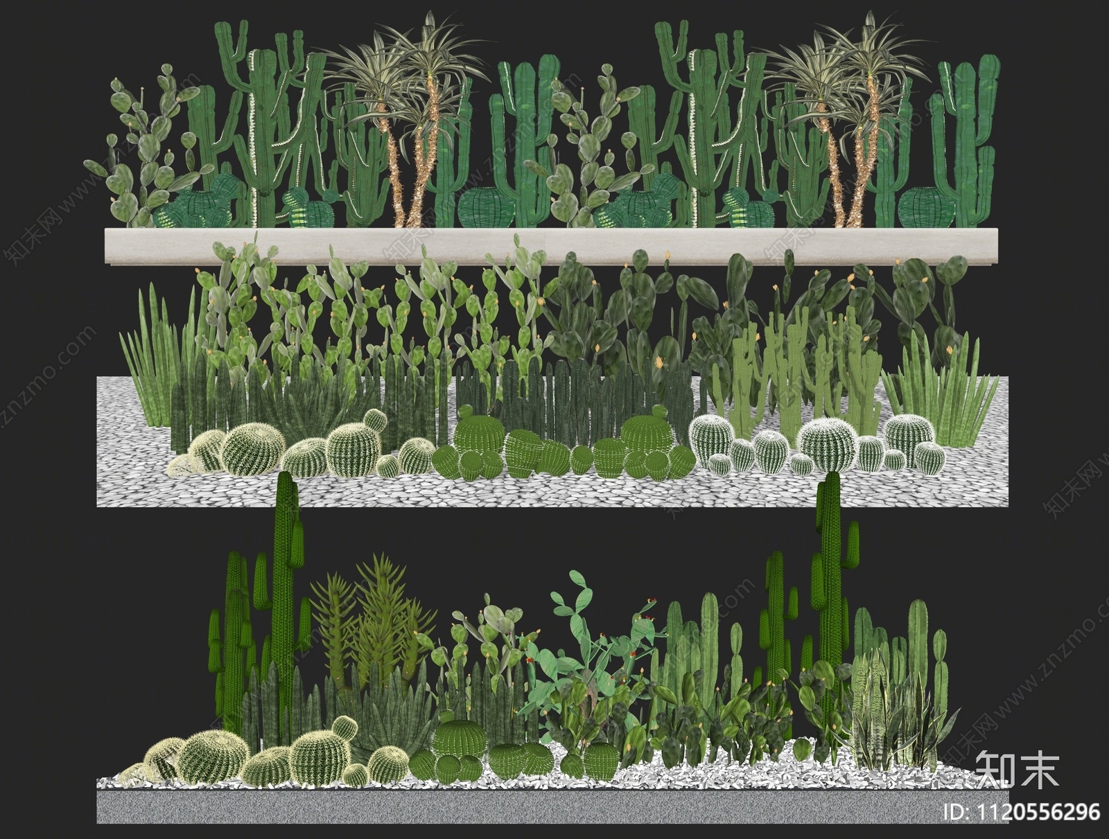 热带植物组合SU模型下载【ID:1120556296】