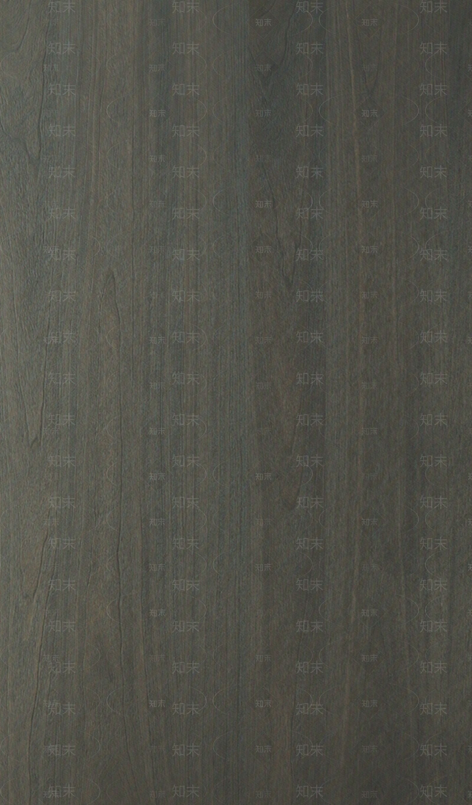 梧桐木钢刷木饰面贴图下载【ID:1120556662】