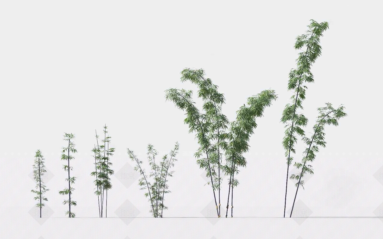 竹子SU模型下载【ID:1120571253】
