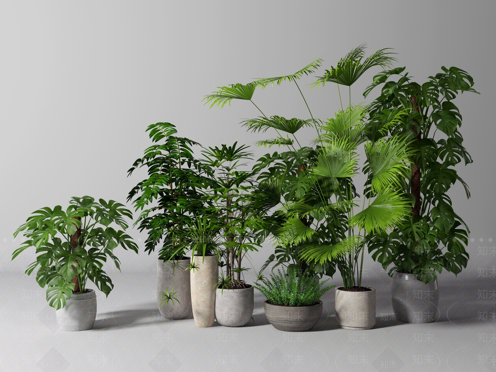 植物盆栽3D模型下载【ID:1120723110】_知末3d模型网