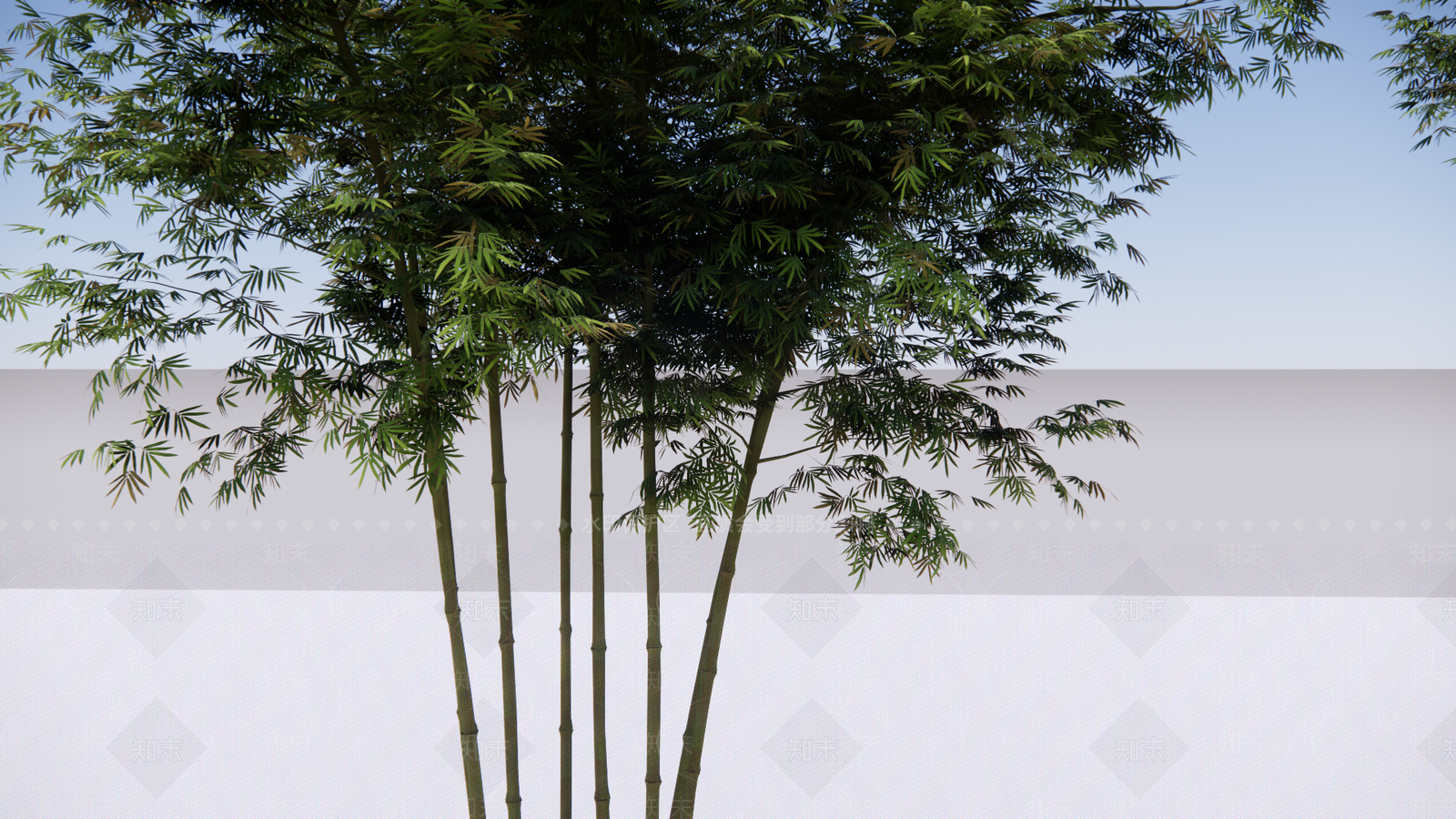 竹子SU模型下载【ID:1120811501】