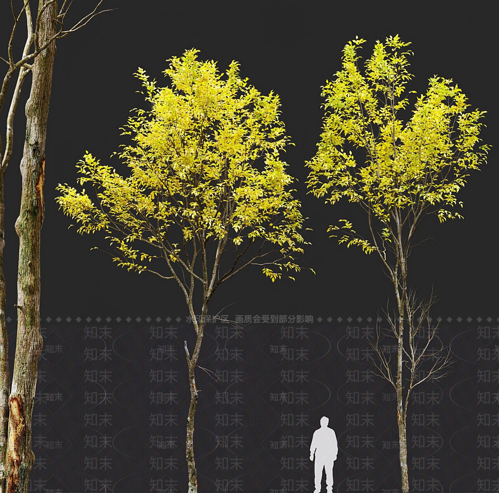 乔木3D模型下载【ID:1120875045】