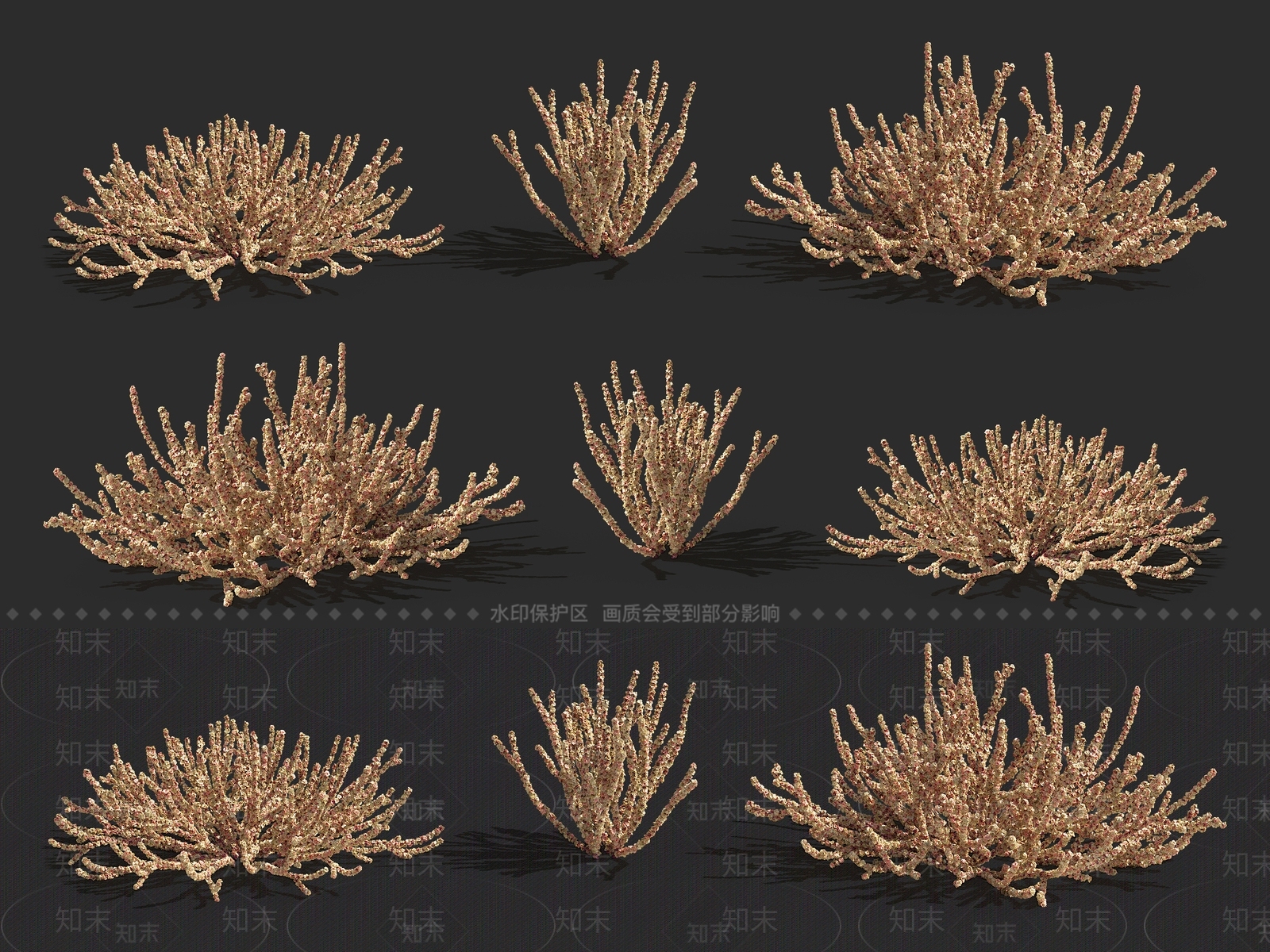 盐生草3D模型下载【ID:1121092754】