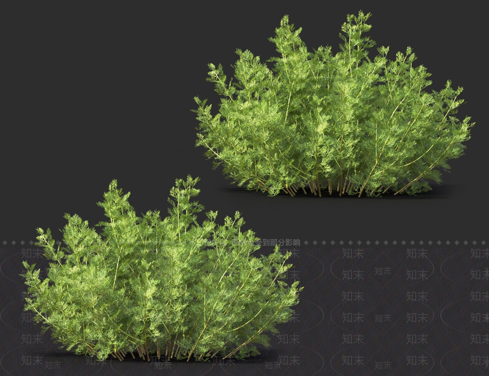 艾蒿3D模型下载【ID:1121106361】