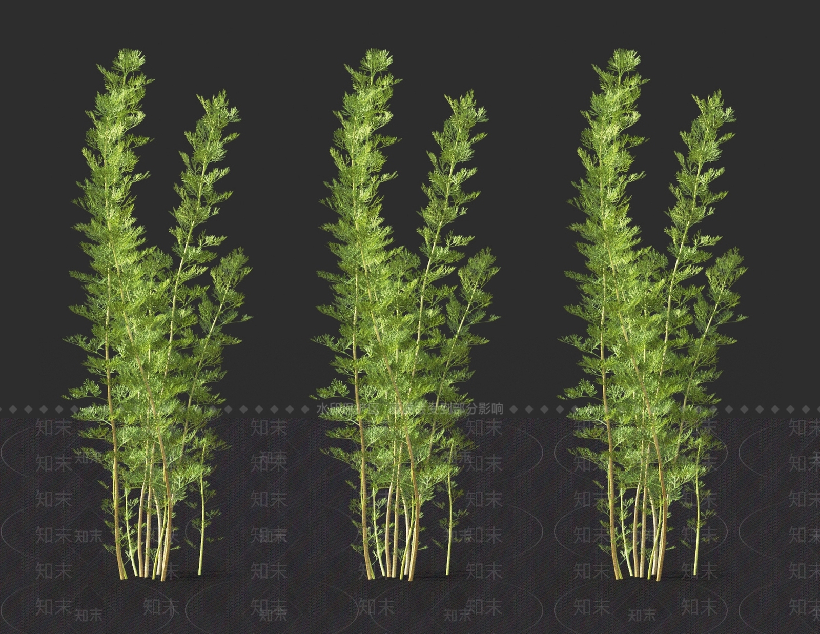 艾蒿3D模型下载【ID:1121106269】