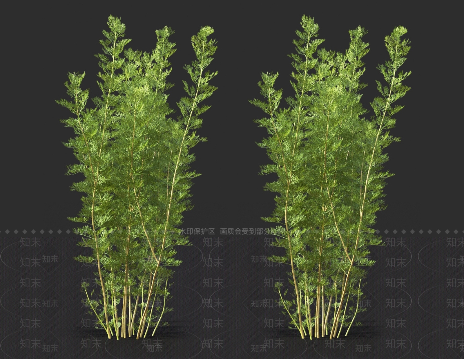 艾蒿3D模型下载【ID:1121106217】
