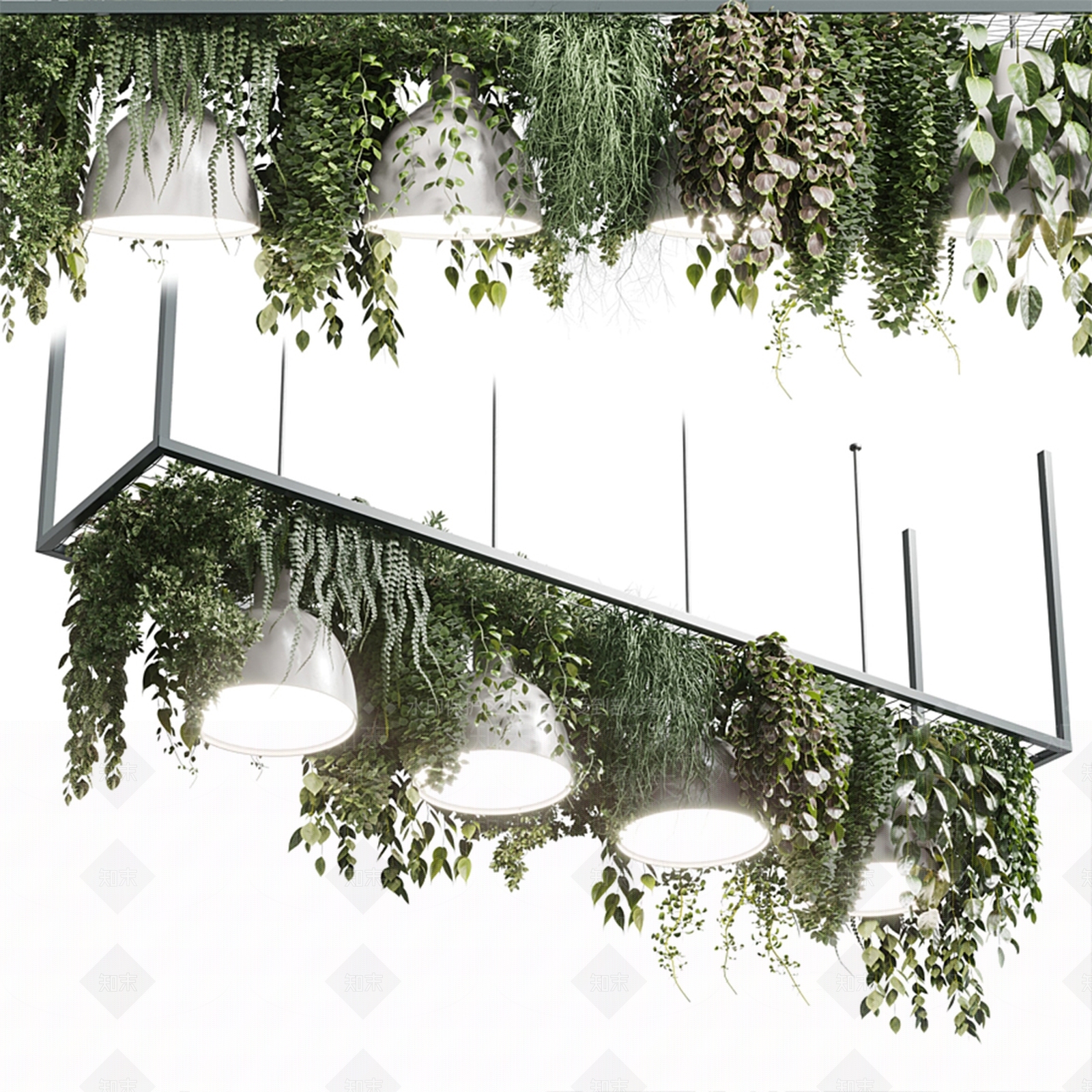 现代植物吊灯3D模型下载【ID:1121352540】