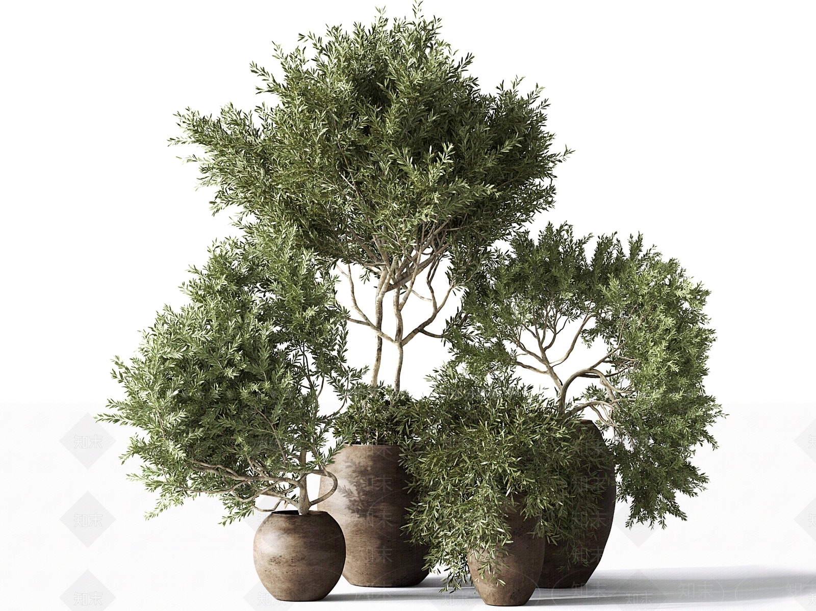 盆栽盆景3D模型下载【ID:1121430281】