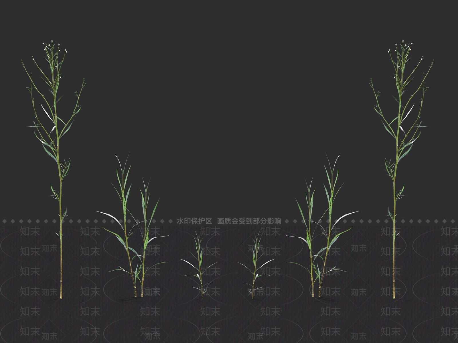 草3D模型下载【ID:1121462151】