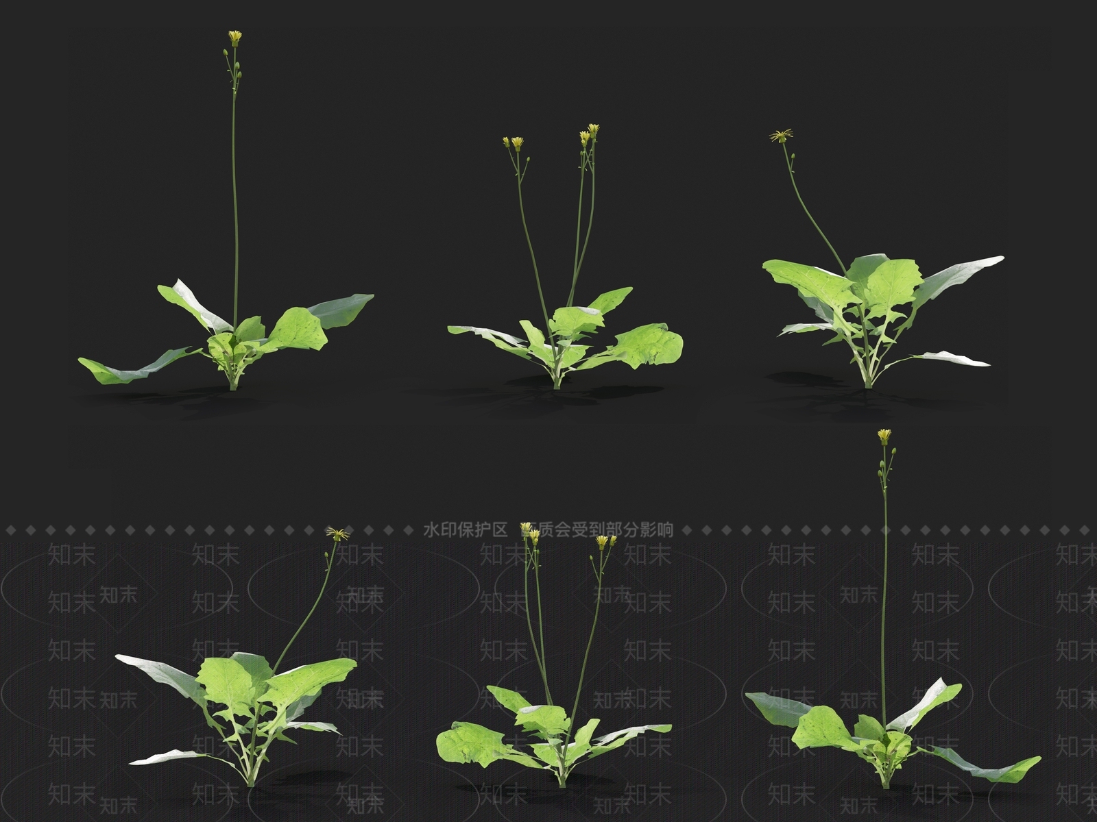 草3D模型下载【ID:1121463336】