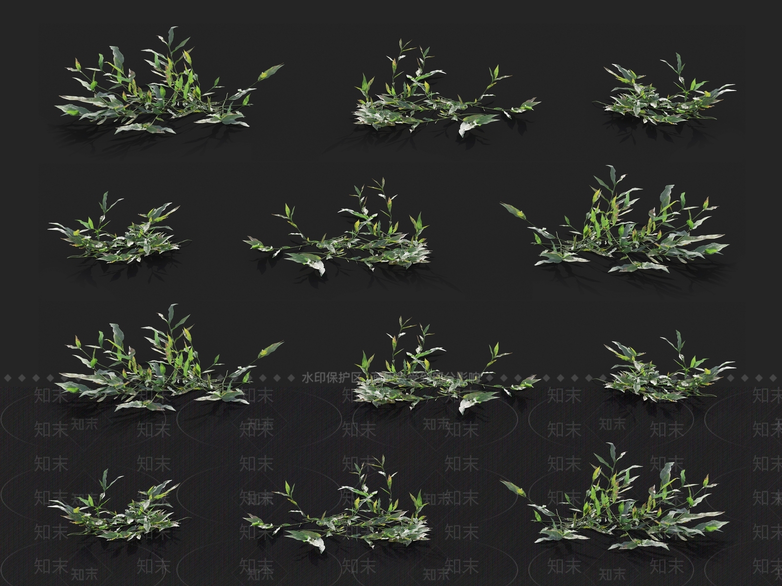 草3D模型下载【ID:1121463749】