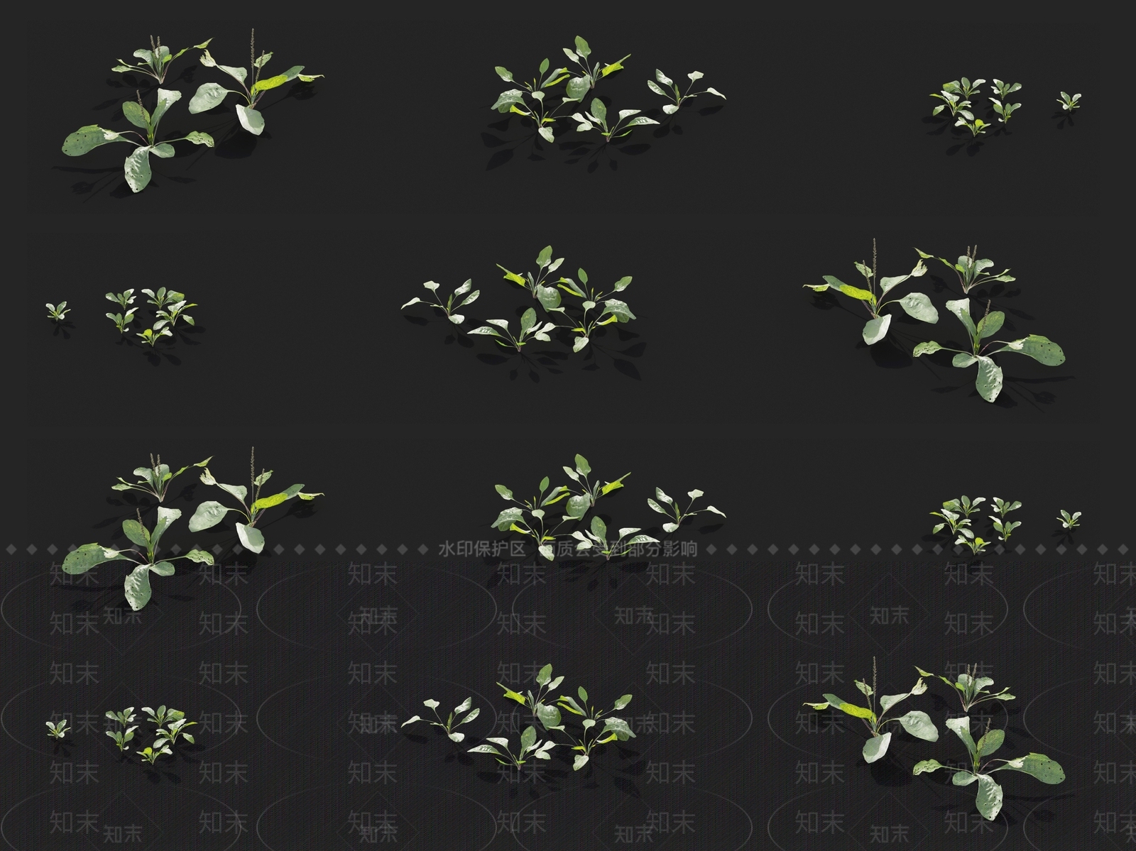 草3D模型下载【ID:1121464042】