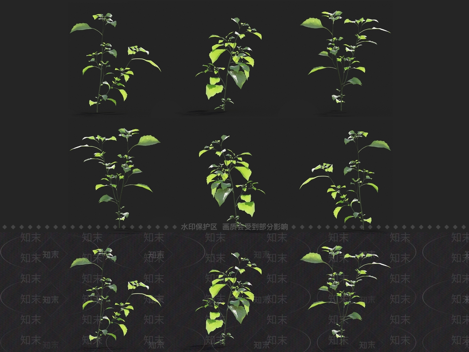 草3D模型下载【ID:1121464397】