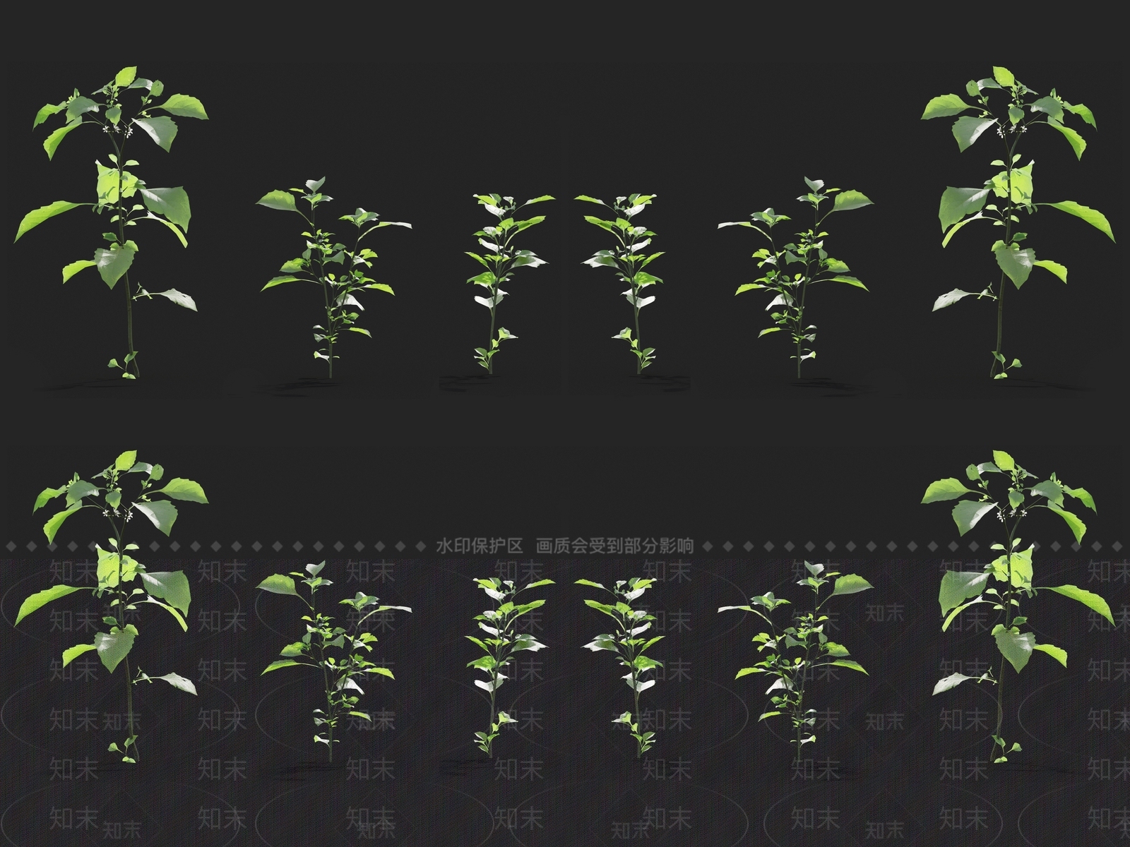 草3D模型下载【ID:1121464431】