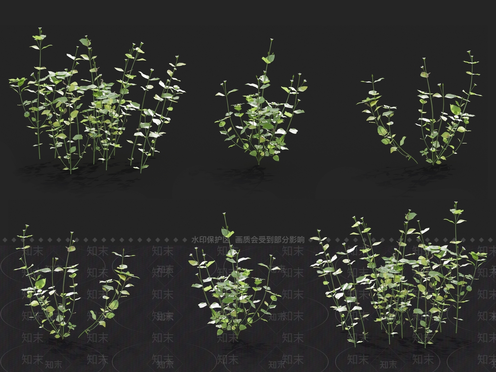 草3D模型下载【ID:1121464690】