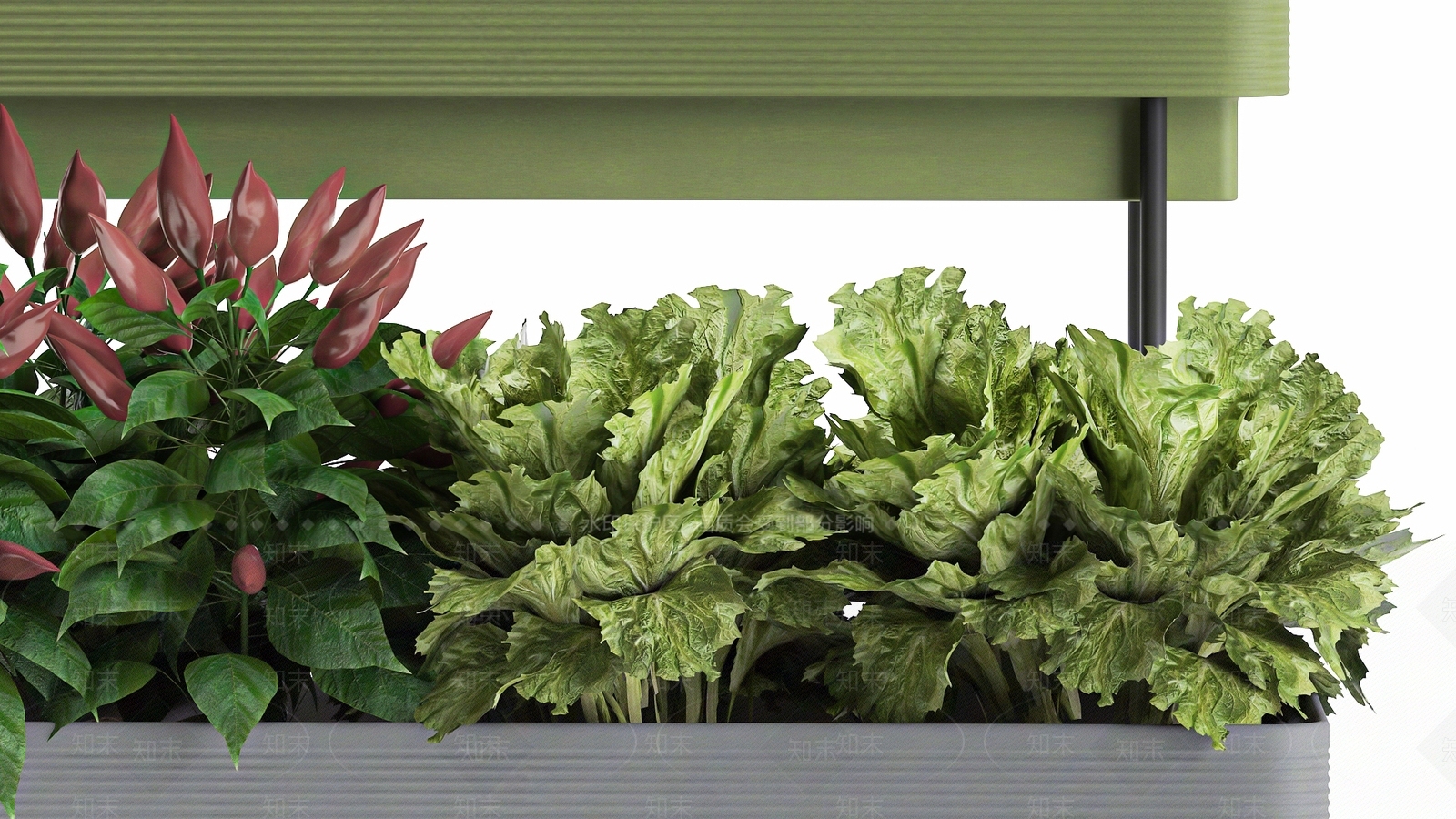 绿植花箱3D模型下载【ID:1121526858】