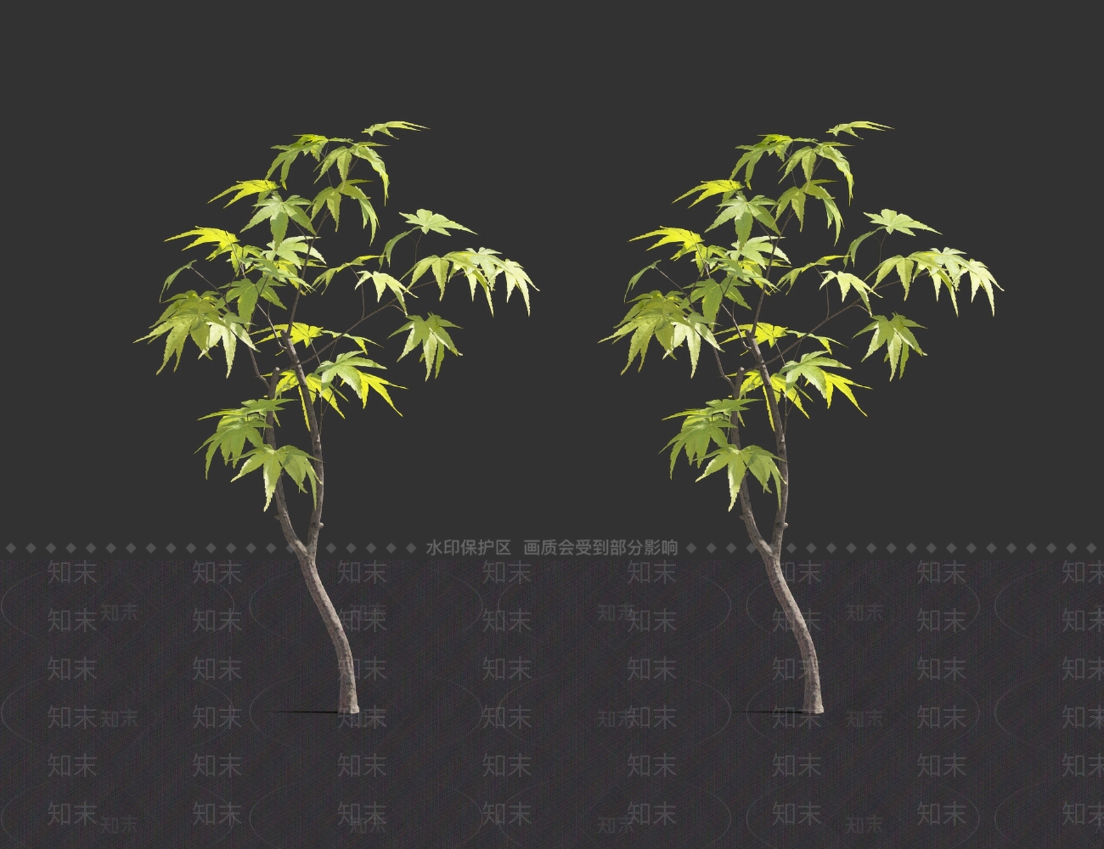 枫树3D模型下载【ID:1121540878】_知末3d模型网