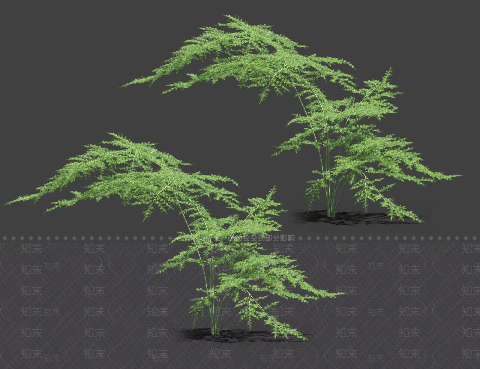 竹子3D模型下载【ID:1121542973】