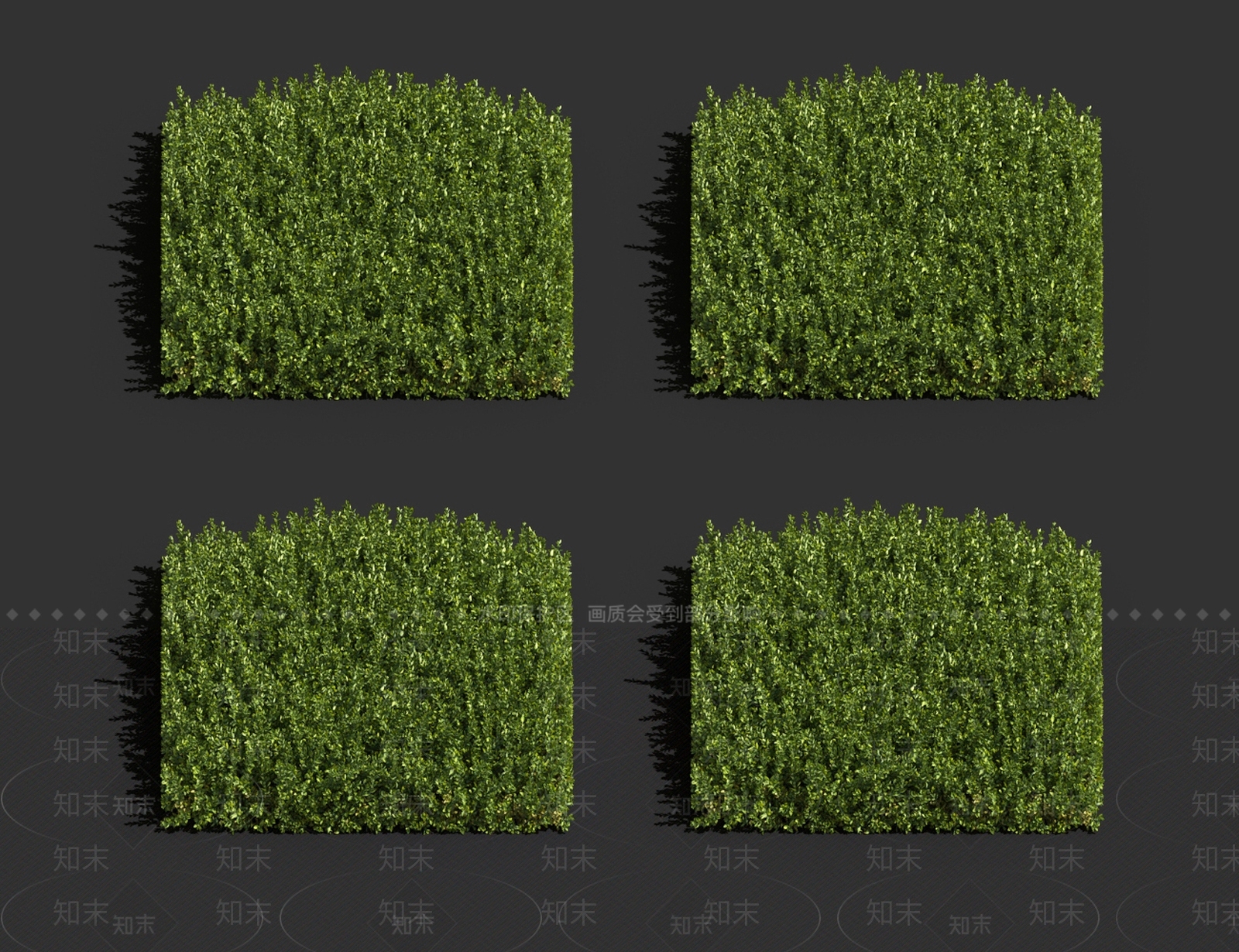 草坪地衣3D模型下载【ID:1121543174】