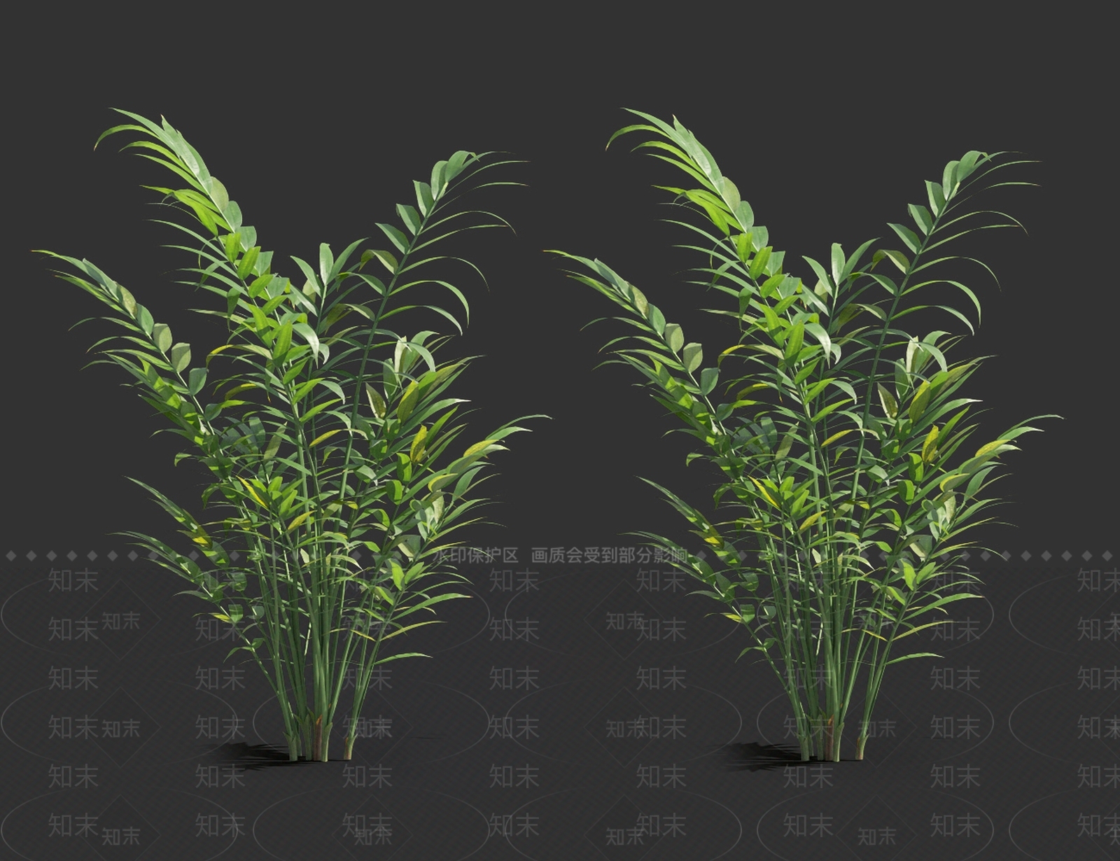 草3D模型下载【ID:1121543342】