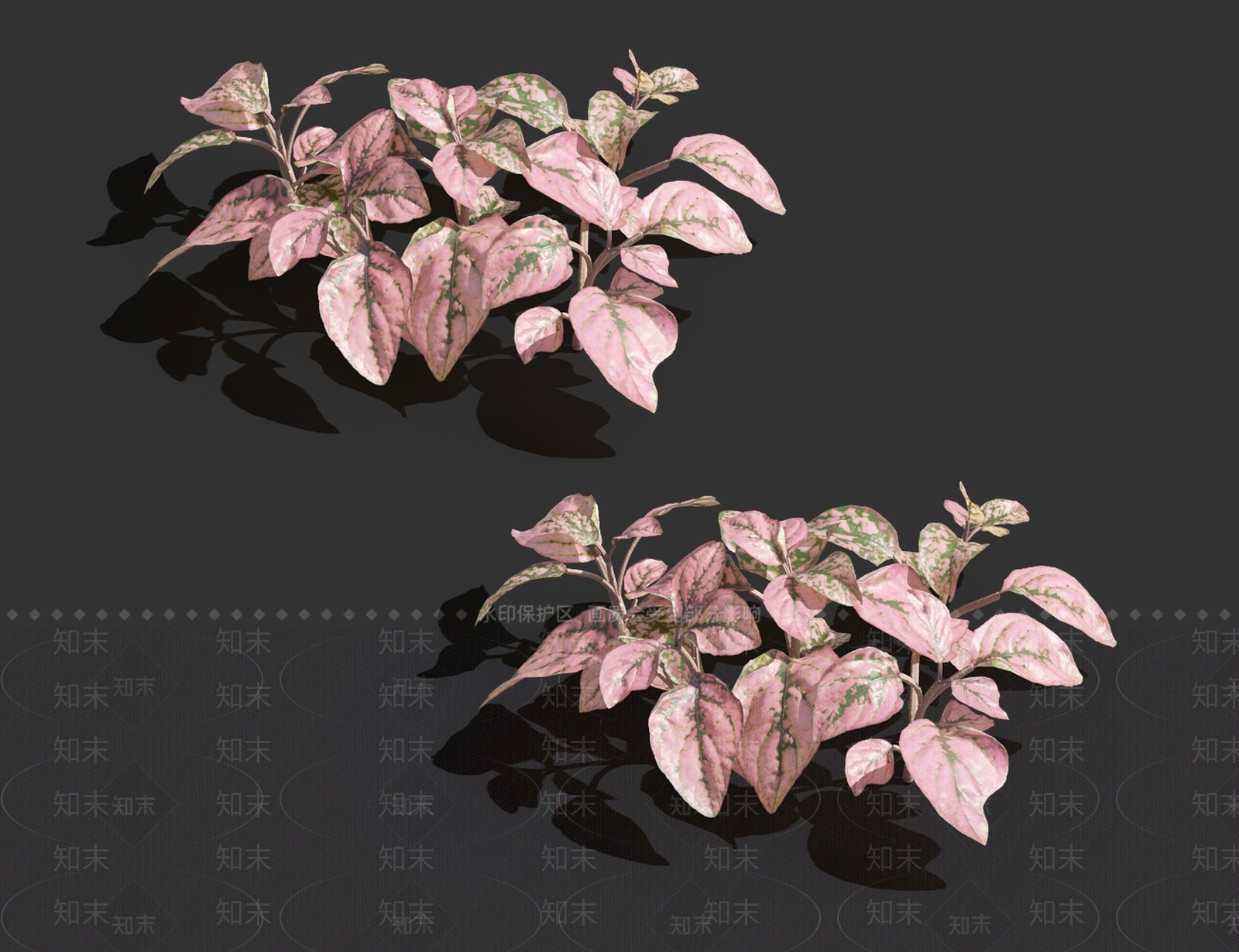 草3D模型下载【ID:1121543803】