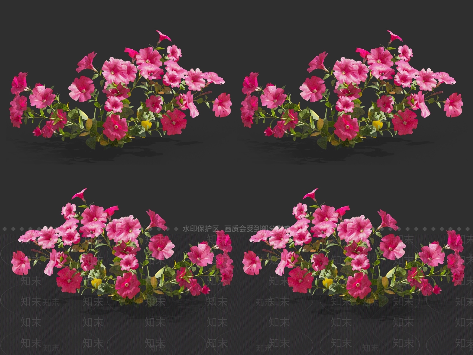 牵牛花3D模型下载【ID:1121554549】