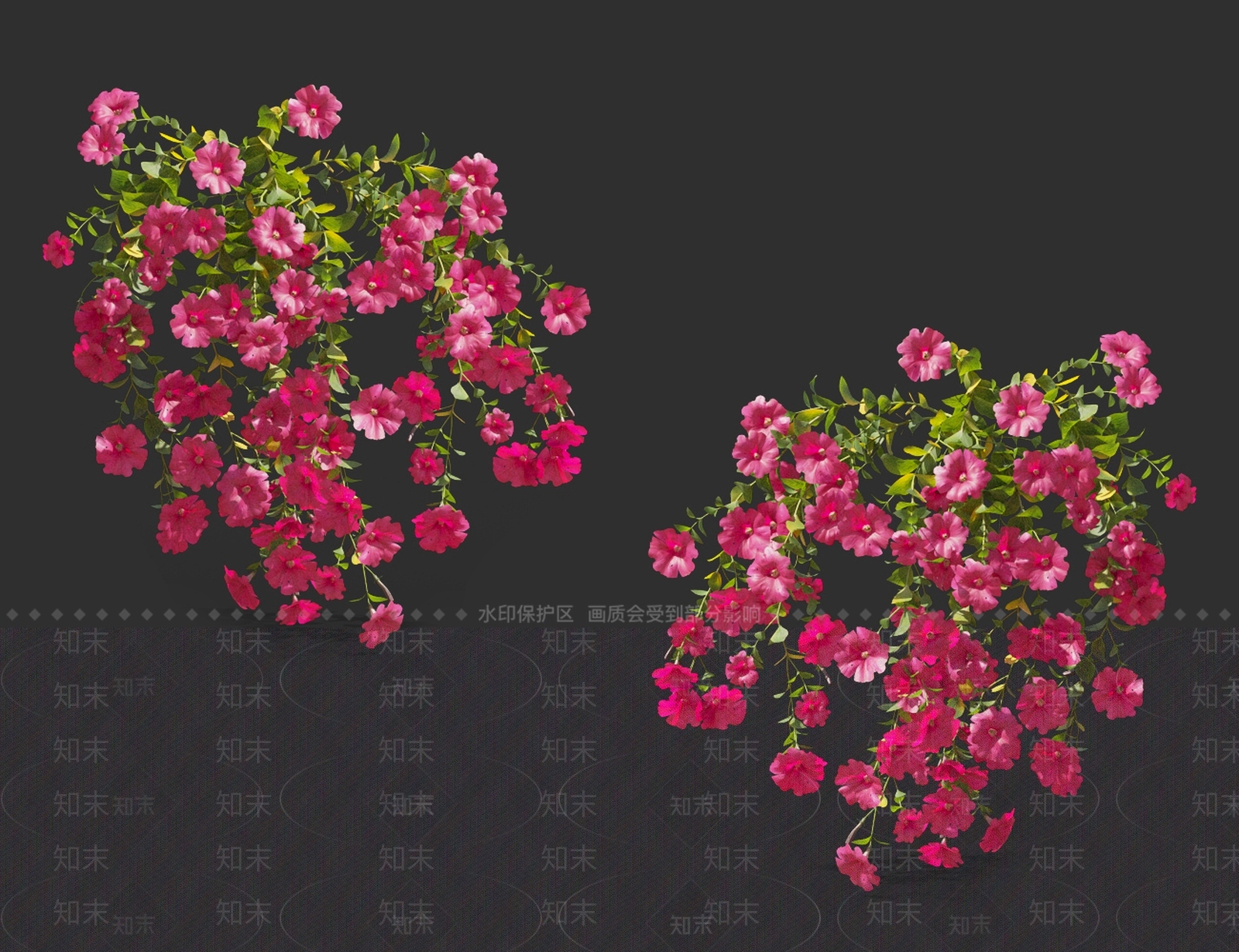 牵牛花3D模型下载【ID:1121554718】