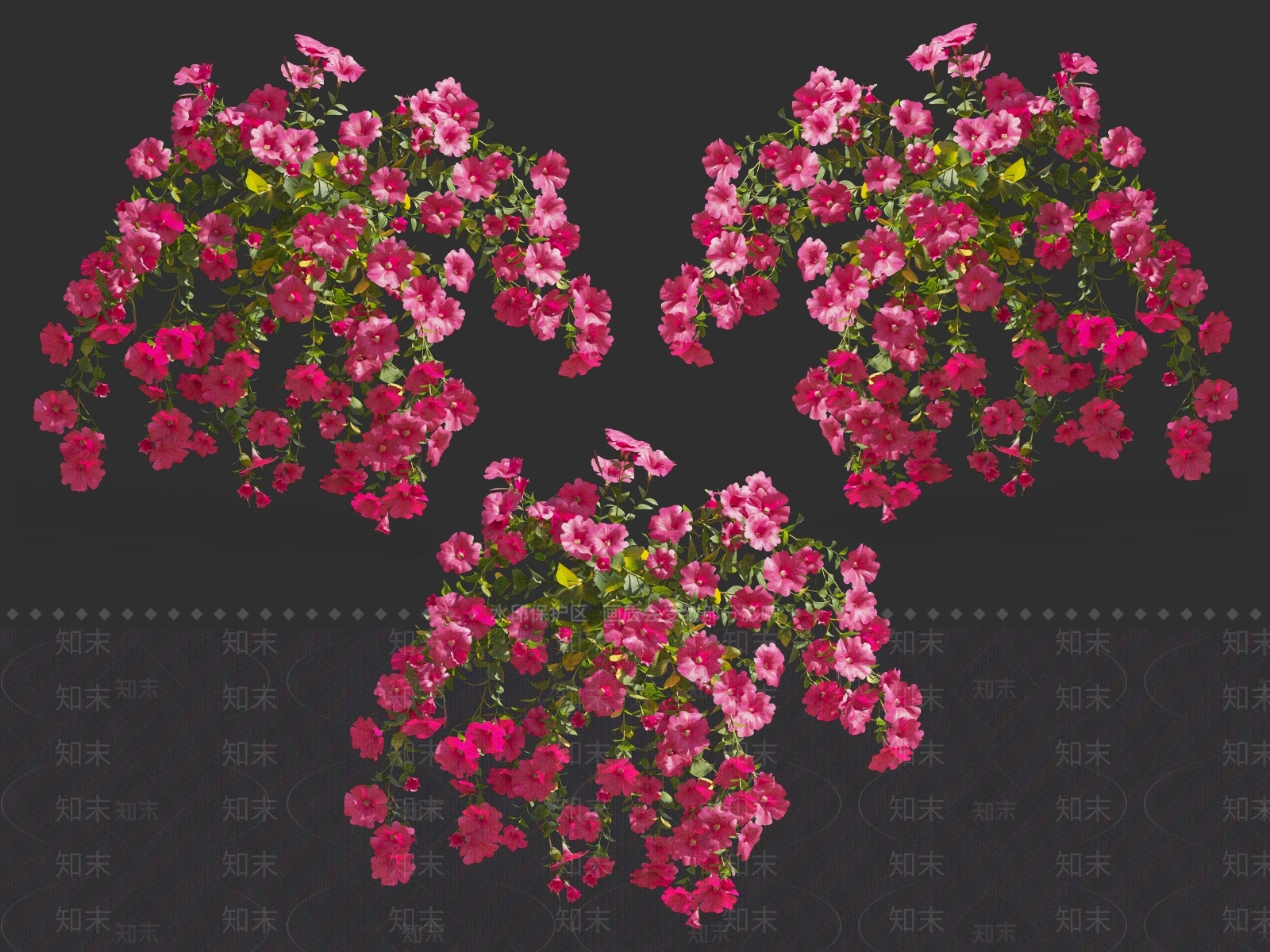 牵牛花3D模型下载【ID:1121554835】