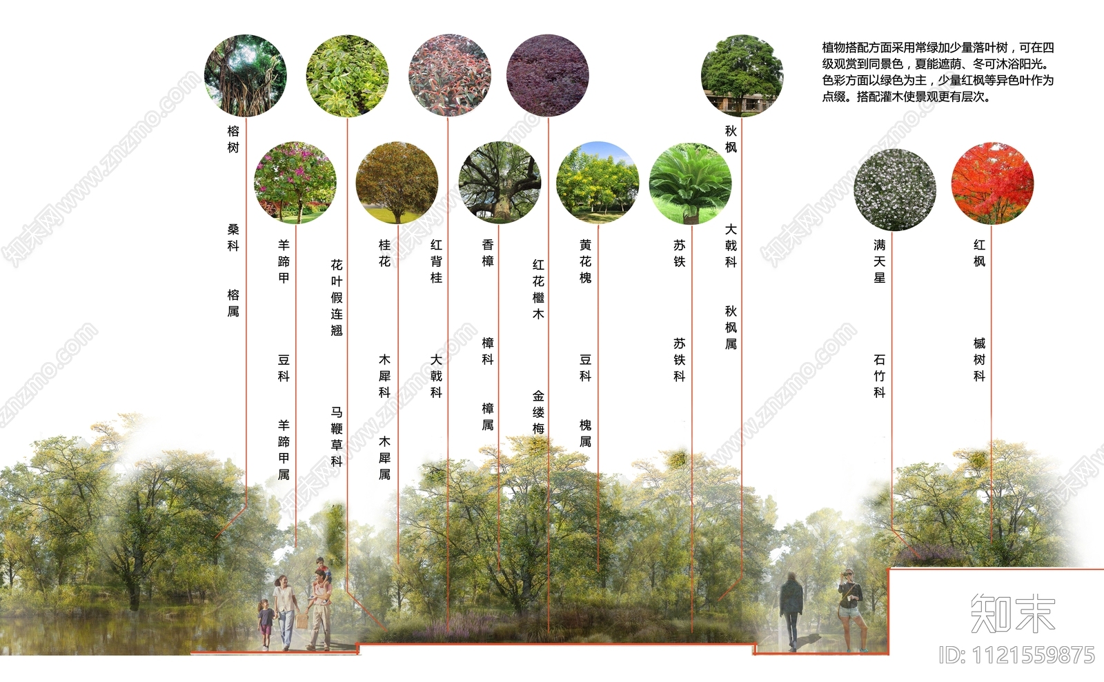 竞赛风国际范植物分析图PSD免抠下载【ID:1121559875】