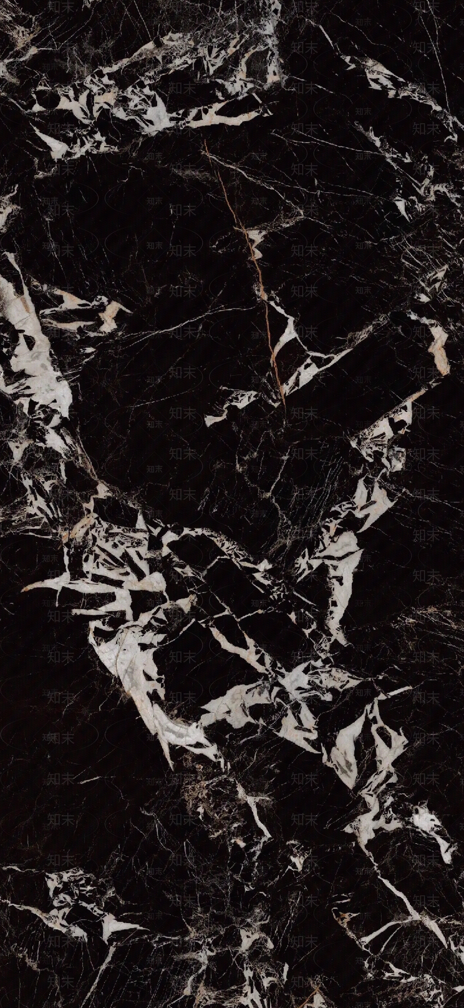 黑金花大理石瓷砖贴图下载【ID:1121566373】