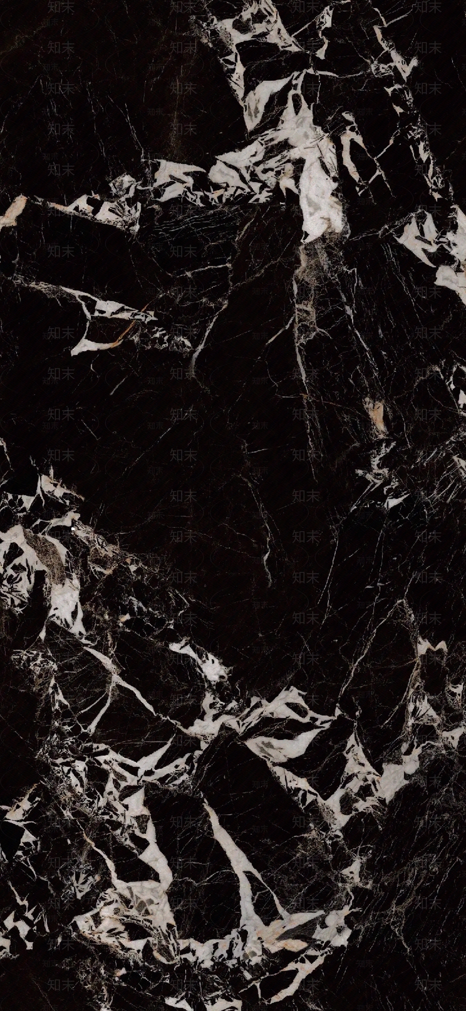 黑金花大理石瓷砖贴图下载【ID:1121566305】