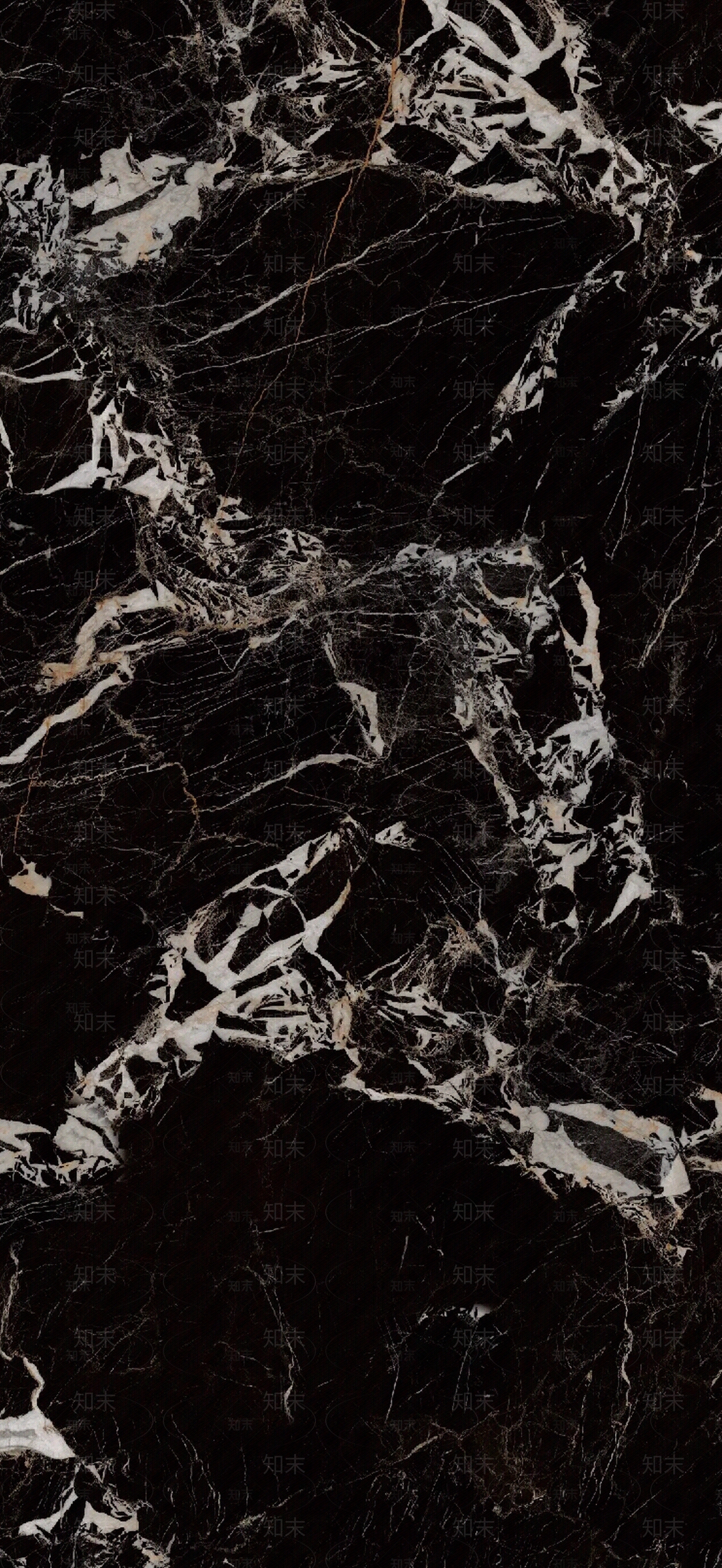 黑金花大理石瓷砖贴图下载【ID:1121566396】