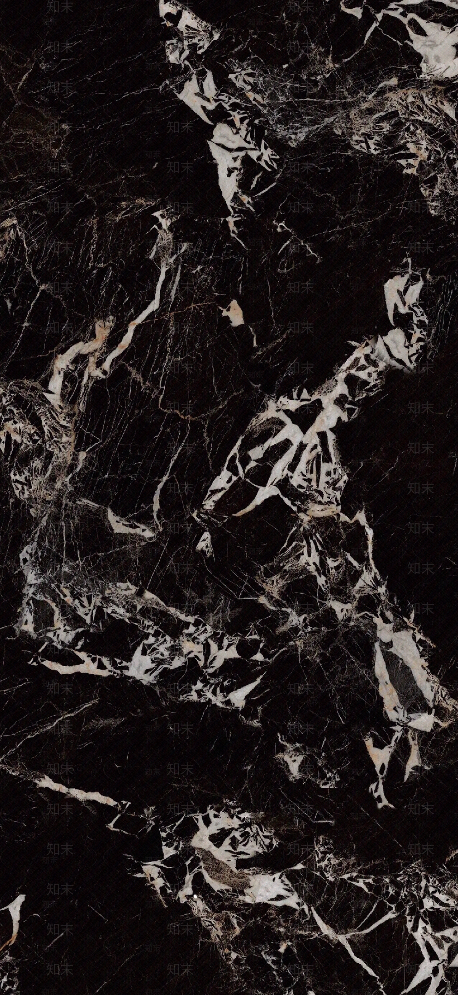 黑金花大理石瓷砖贴图下载【ID:1121566319】