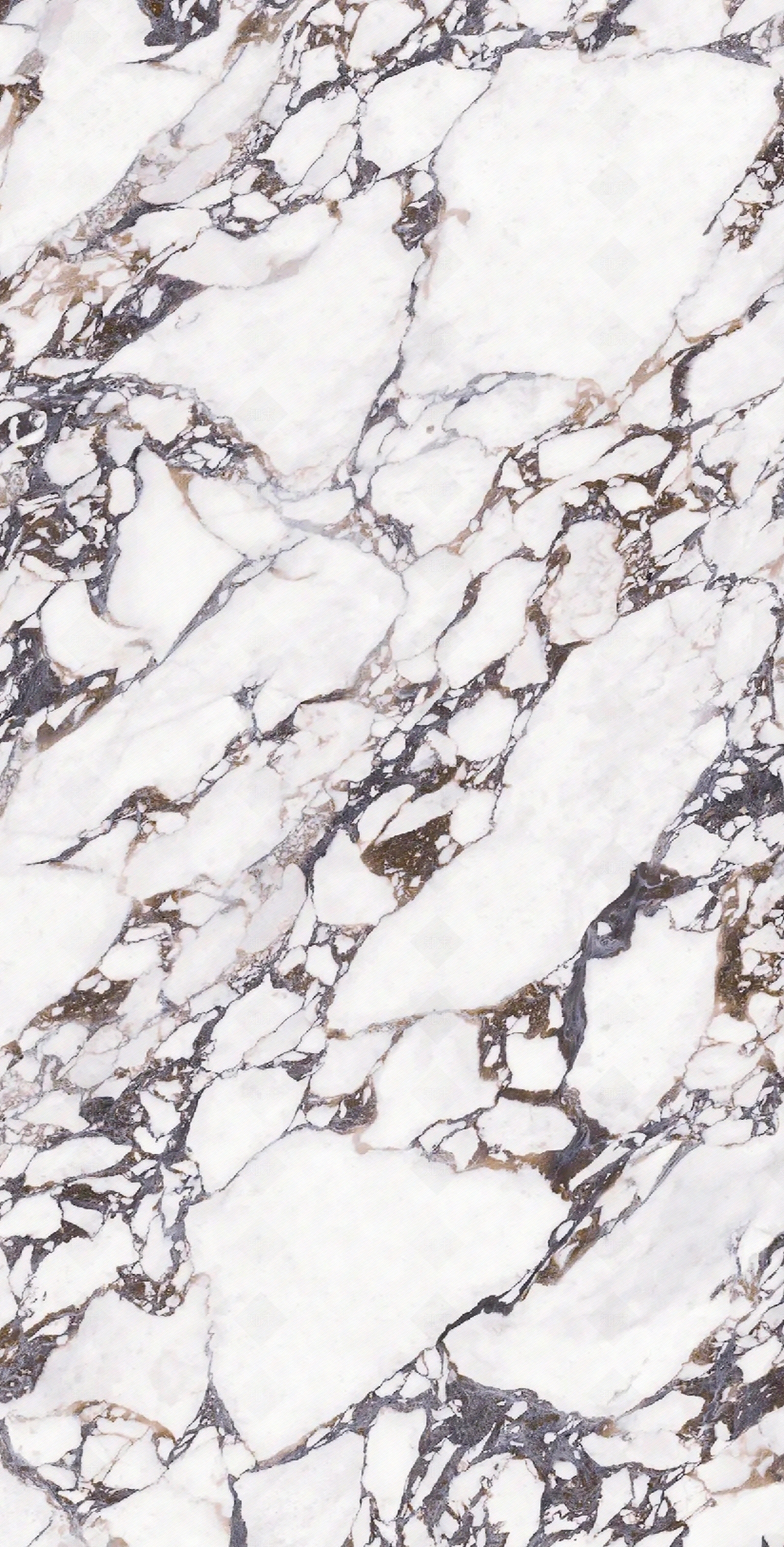 宝格丽大理石瓷砖贴图下载【ID:1121648137】