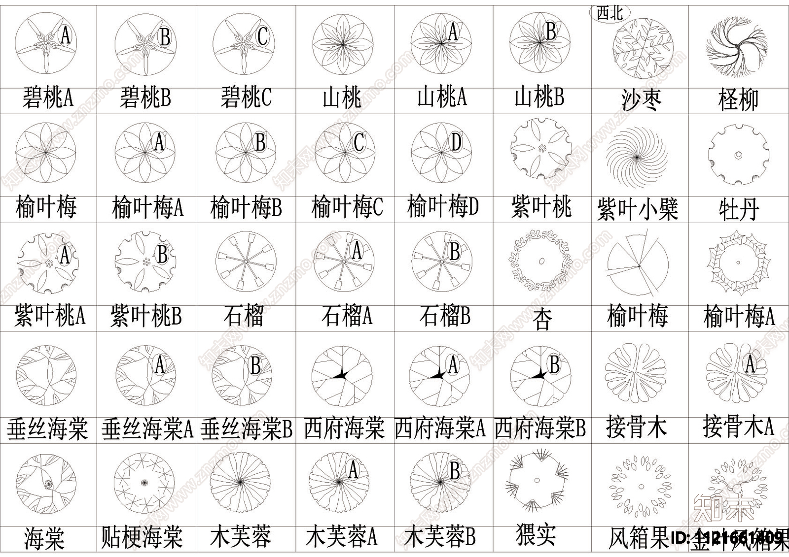 北部植物平面图块施工图下载【ID:1121661409】